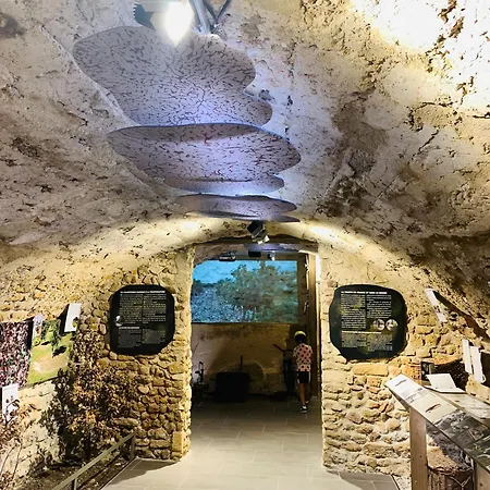 Piscine En Drome Provencale Repas Asiatique Sur Demande Taulignan